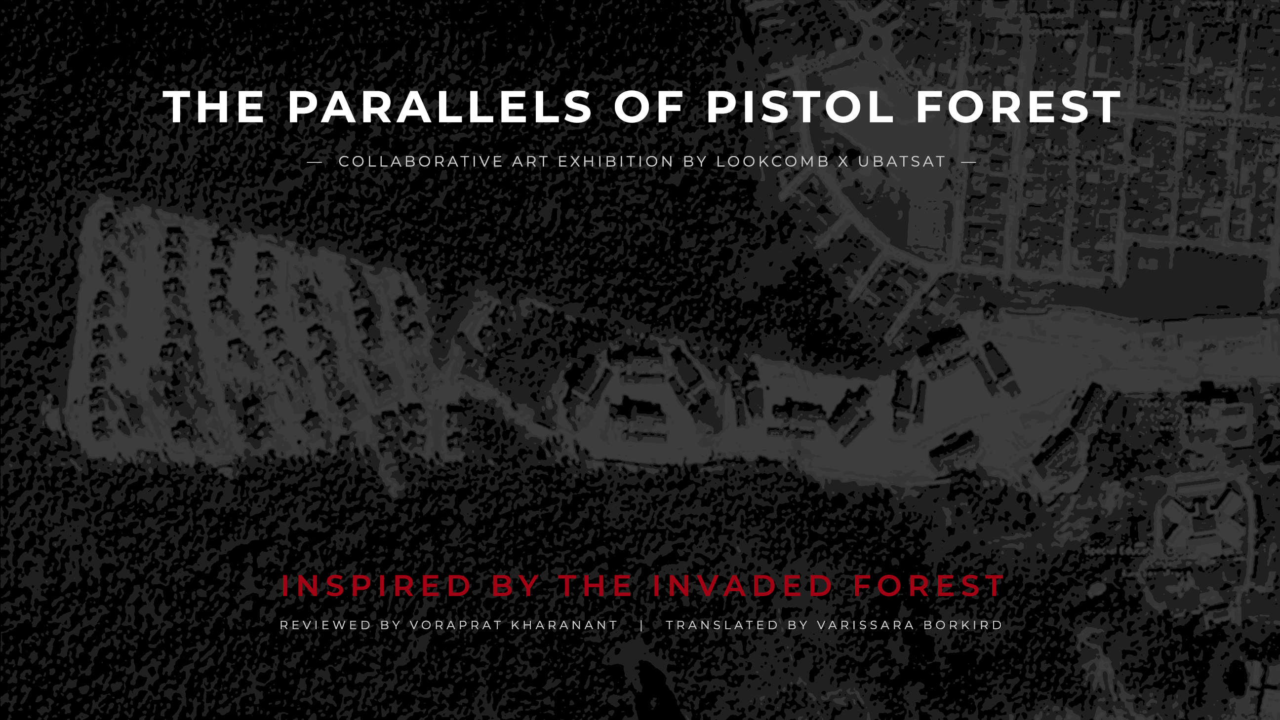 Publication The Parallels of Pistol Forest Banner 2